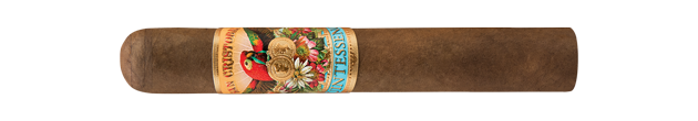 Robusto